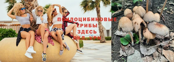 a pvp Краснослободск