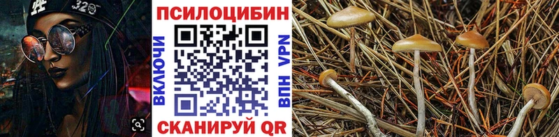 Галлюциногенные грибы Psilocybine cubensis  это формула  МЕГА зеркало  Ачинск  купить наркотик 