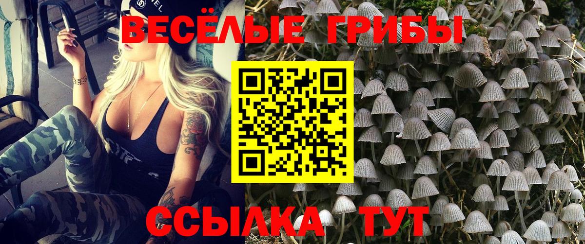 Ачинск  Псилоцибиновые грибы Cubensis  Вход с VPN 